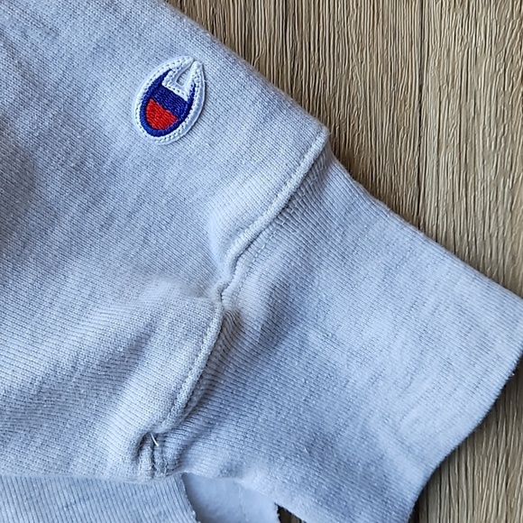 Champion Heathered Gray Florida State Seminoles Cropped Sweatshirt L Like New - Picture 7 of 8